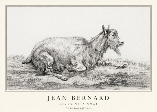 Jean Bernard Study of a Goat V No1 - Póster