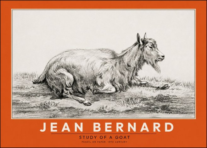 Jean Bernard Study of a Goat V No2 - Póster