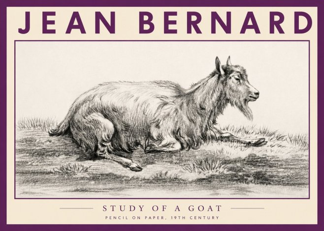 Jean Bernard Study of a Goat V No3 - Póster
