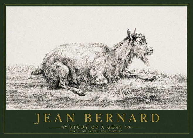 Jean Bernard Study of a Goat V No4 - Póster