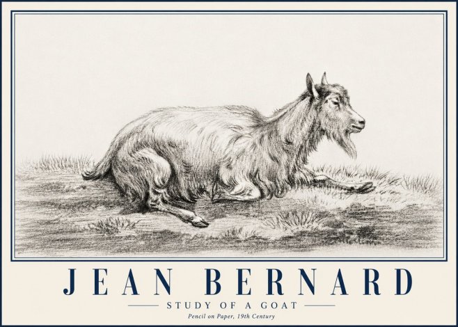 Jean Bernard Study of a Goat V No5 - Póster