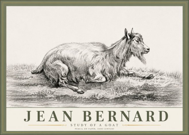 Jean Bernard Study of a Goat V No6 - Póster