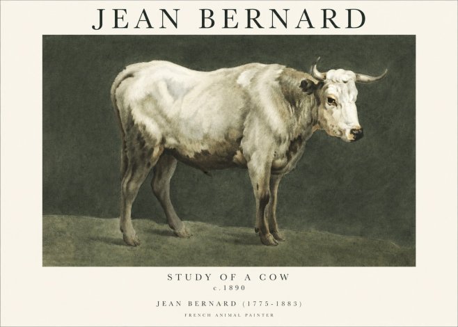 Jean Bernard Study of a Cow C. 1890 No1 - Póster