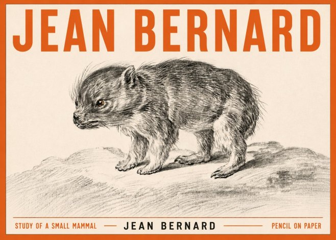 Jean Bernard Study of a Small Mammal No3 - Póster