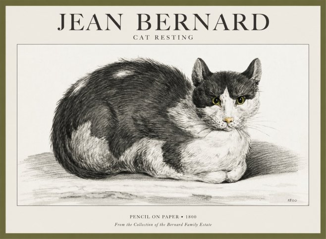 Jean Bernard Cat Resting No1 - Póster