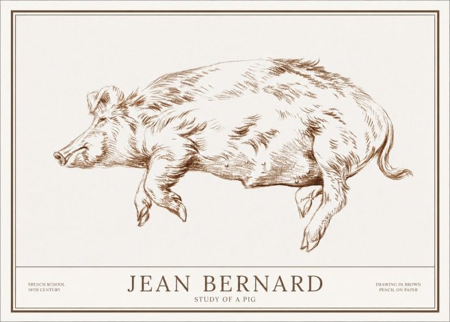 Jean Bernard Study of a Pig II No1 - Póster