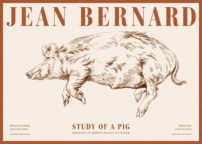 Jean Bernard Study of a Pig II No4 - Póster