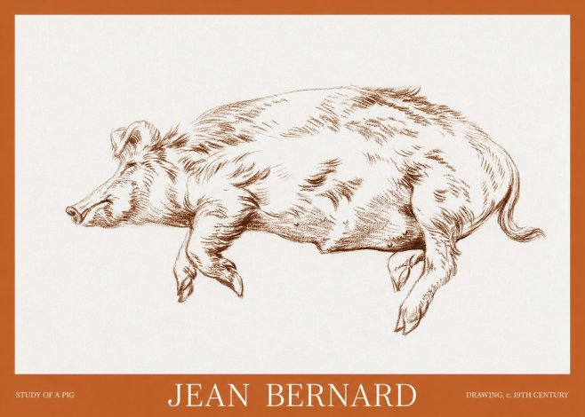 Jean Bernard Study of a Pig II No6 - Póster