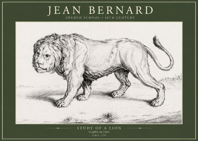 Jean Bernard Study of a Lion II No5 - Póster