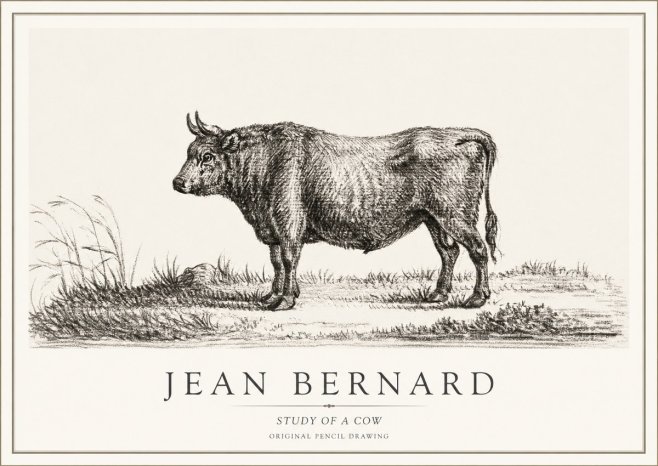 Jean Bernard Study of a Cow XIII No1 - Póster