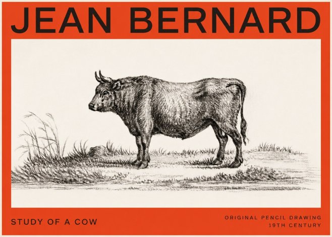 Jean Bernard Study of a Cow XIII No4 - Póster