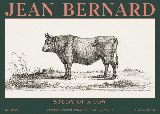 Jean Bernard Study of a Cow XIII No5 - Póster