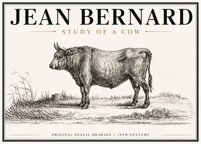 Jean Bernard Study of a Cow XIII No6 - Póster