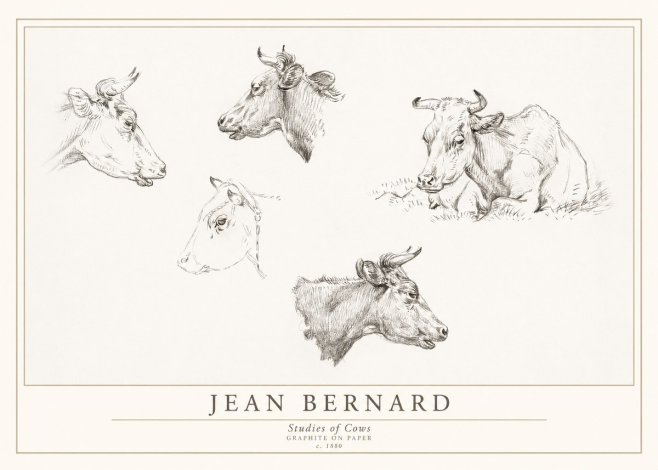 Jean Bernard Studies of Cows I No1 - Póster