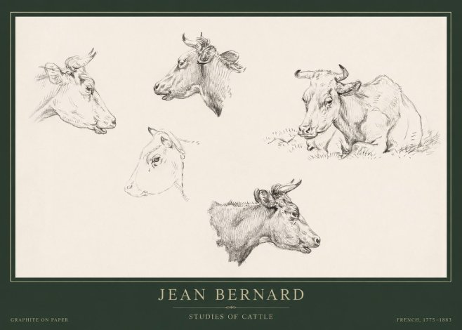 Jean Bernard Studies of Cows I No5 - Póster