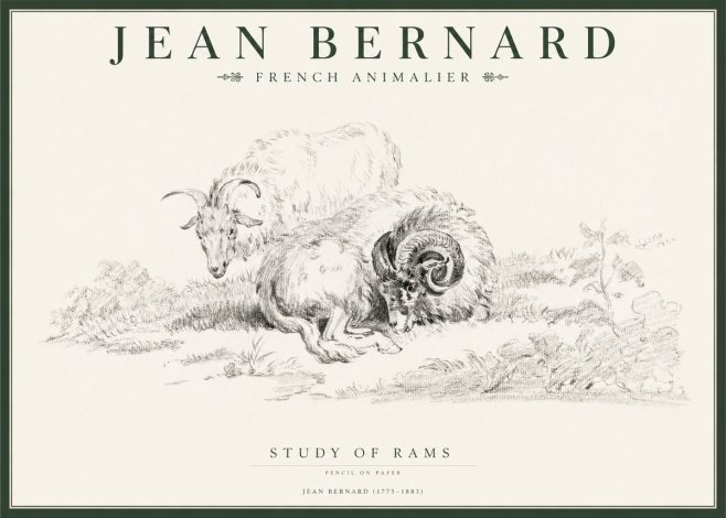 Jean Bernard Study of Sheep No2 - Póster
