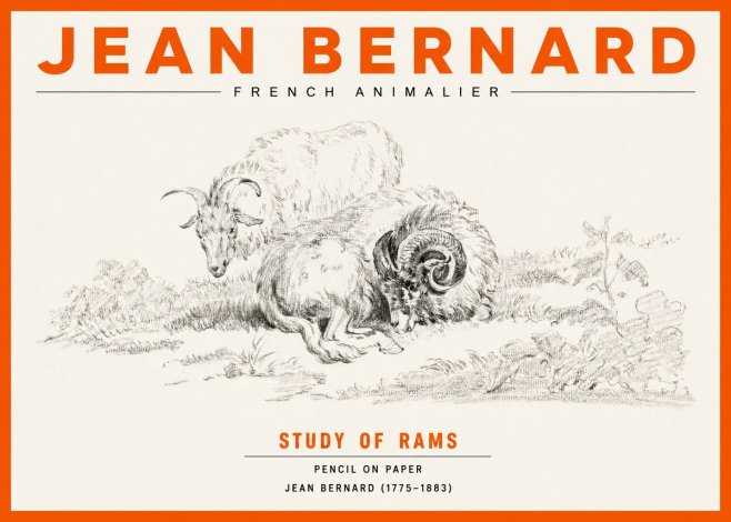 Jean Bernard Study of Sheep No3 - Póster