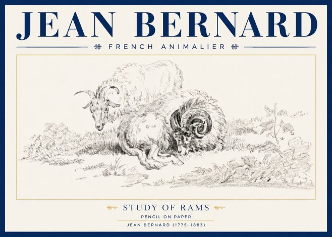 Jean Bernard Study of Sheep No4 - Póster