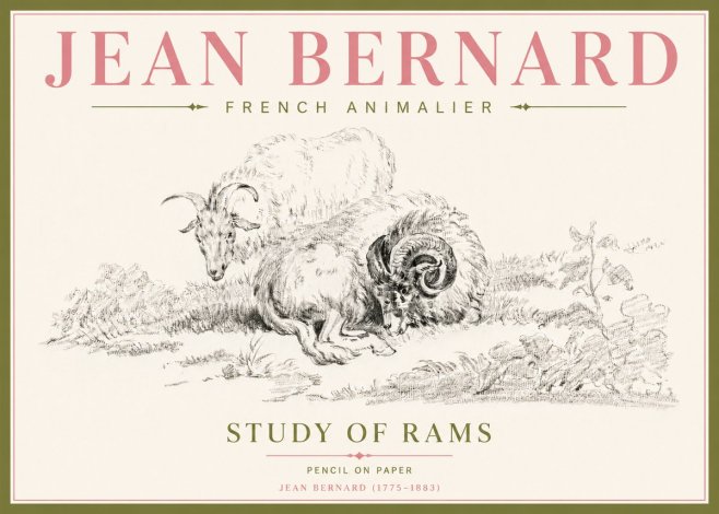 Jean Bernard Study of Sheep No5 - Póster