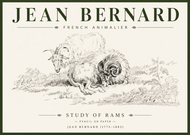 Jean Bernard Study of Sheep No6 - Póster