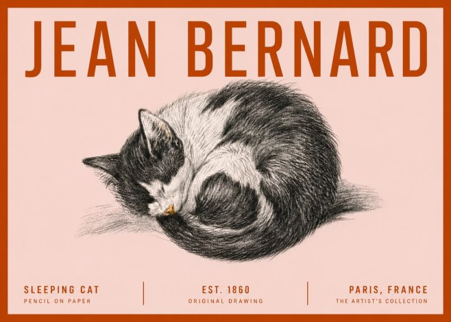 Jean Bernard Sleeping Cat VIII No5 - Póster