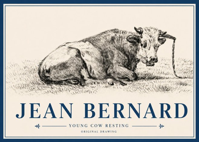 Jean Bernard Young Cow Resting No4 - Póster