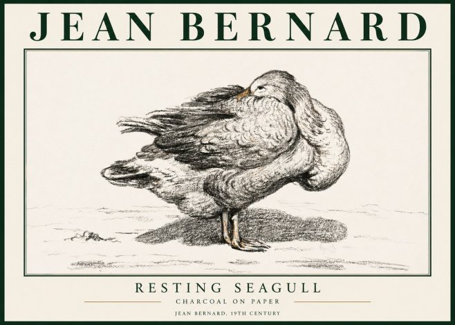 Jean Bernard Resting Seagull No3 - Póster