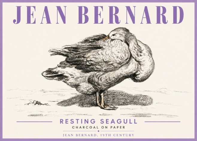 Jean Bernard Resting Seagull No6 - Póster