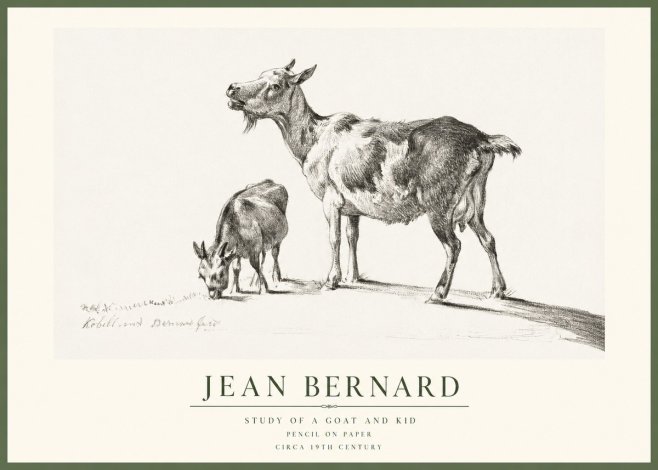 Jean Bernard Study of a Goat and Kid No1 - Póster
