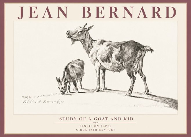 Jean Bernard Study of a Goat and Kid No5 - Póster