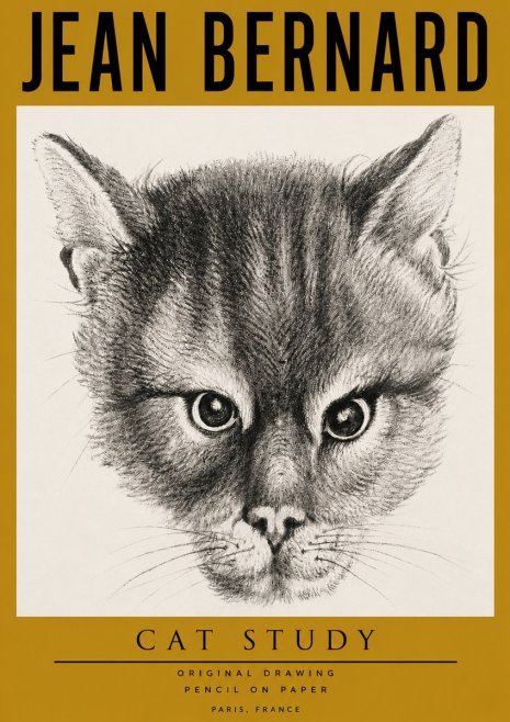 Jean Bernard Cat Study. Original Drawing No4 - Póster