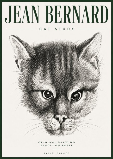 Jean Bernard Cat Study. Original Drawing No5 - Póster