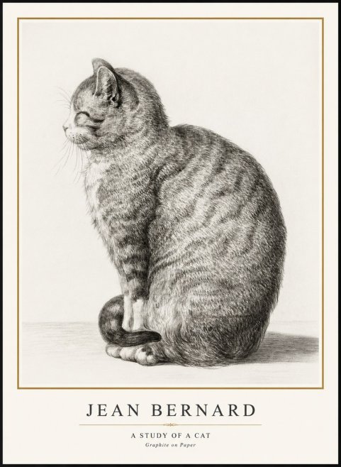 Jean Bernard Cat in Profile No3 - Póster