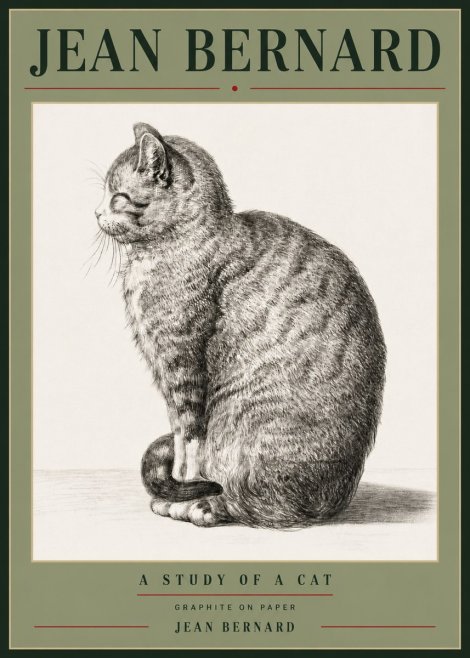 Jean Bernard Cat in Profile No6 - Póster