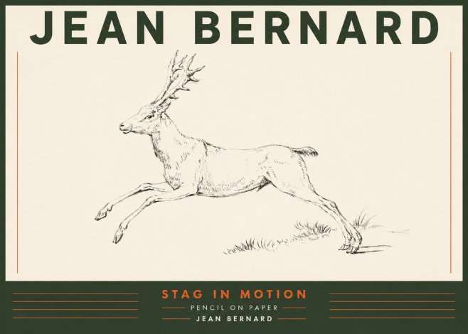 Jean Bernard Stag in Motion No4 - Póster