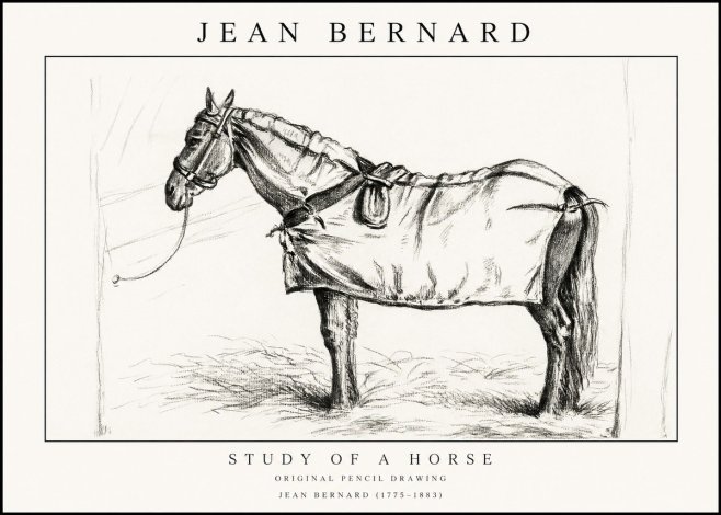 Jean Bernard Study of a Horse XI No1 - Póster