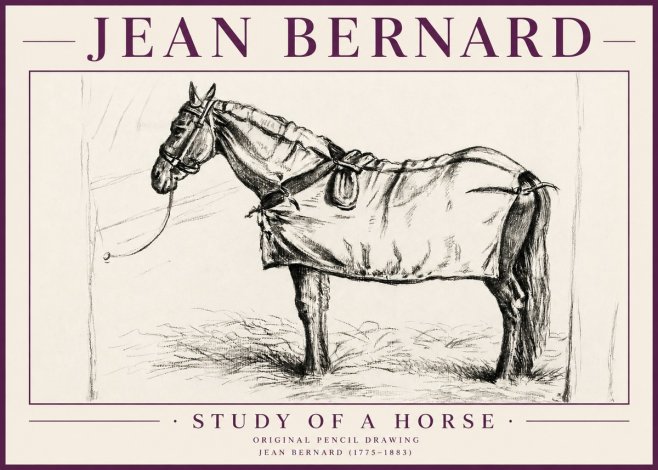 Jean Bernard Study of a Horse XI No4 - Póster