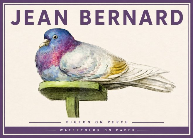 Jean Bernard Pigeon on Perch No4 - Póster