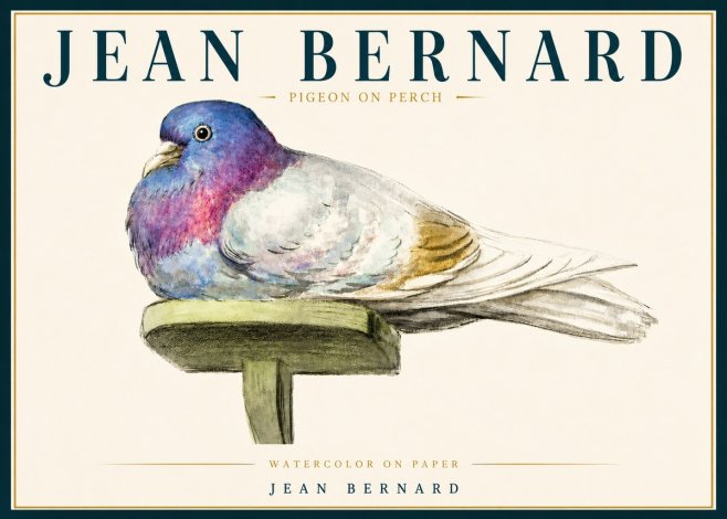 Jean Bernard Pigeon on Perch No5 - Póster