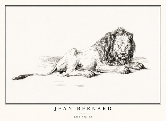 Jean Bernard Lion Resting No1 - Póster