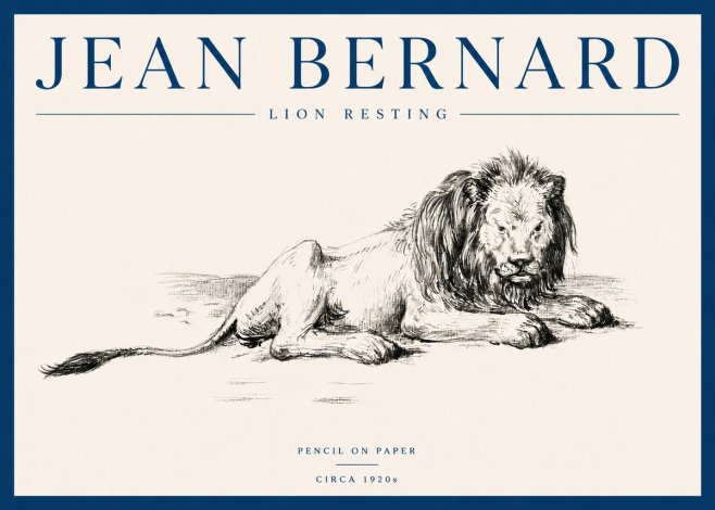 Jean Bernard Lion Resting No5 - Póster
