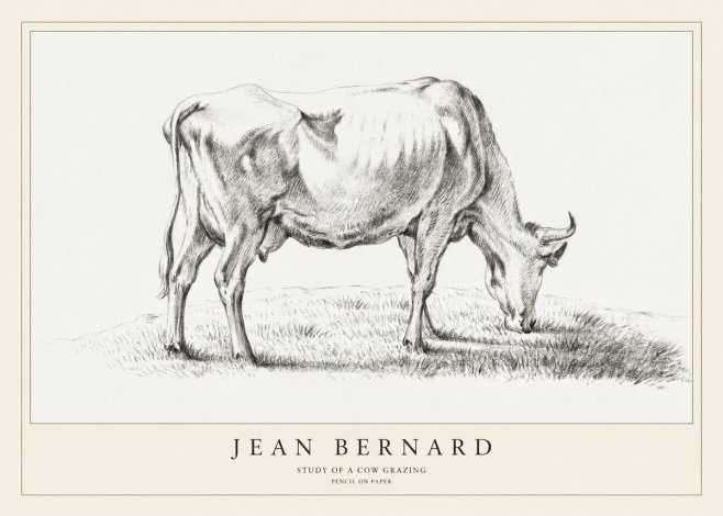 Jean Bernard Study of a Cow Grazing II No1 - Póster