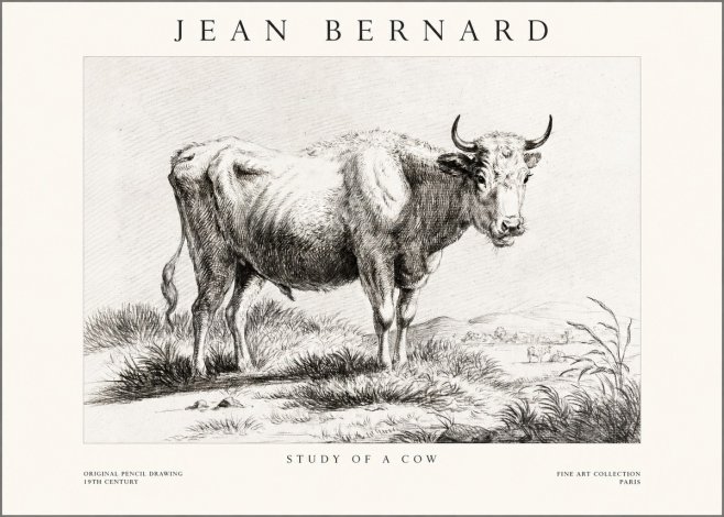 Jean Bernard Study of a Cow XVI No1 - Póster
