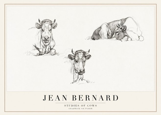 Jean Bernard Studies of Cows II No1 - Póster