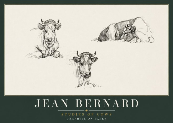 Jean Bernard Studies of Cows II No2 - Póster