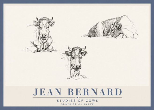 Jean Bernard Studies of Cows II No4 - Póster