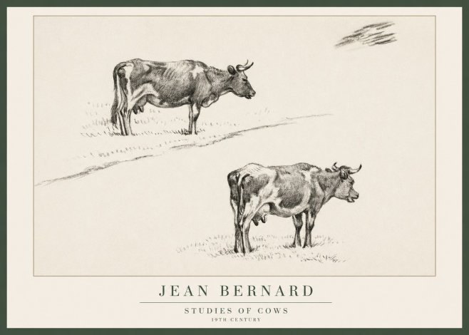 Jean Bernard Studies of Cows III No1 - Póster