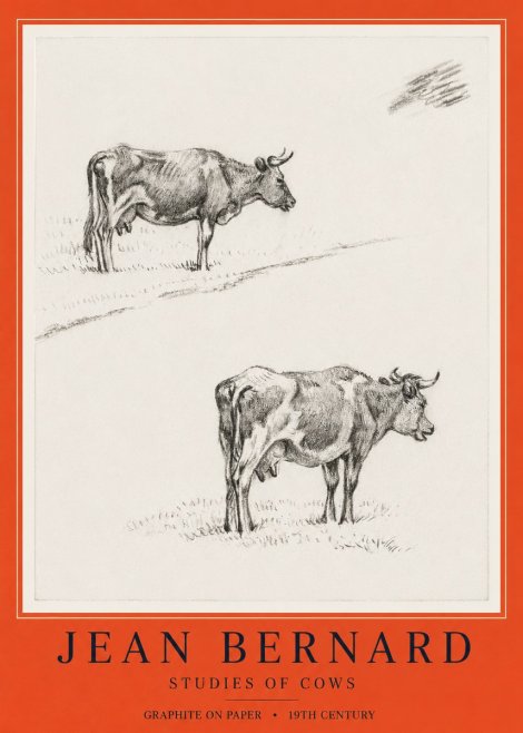 Jean Bernard Studies of Cows III No6 - Póster