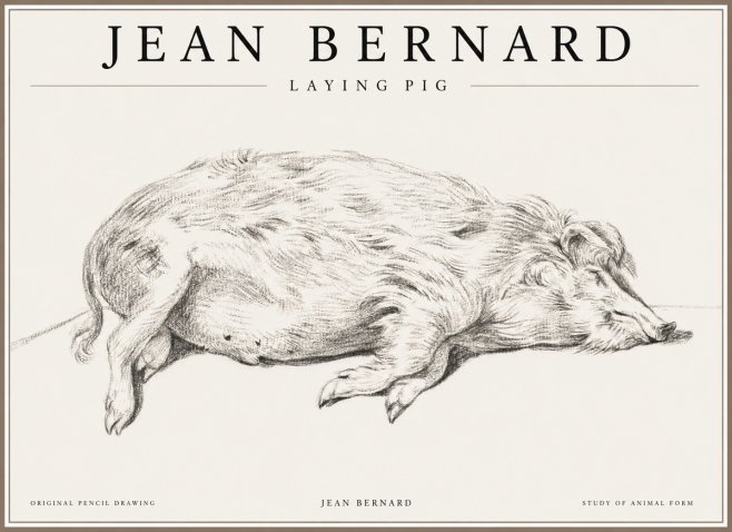 Jean Bernard Laying Pig No1 - Póster