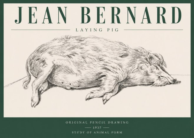 Jean Bernard Laying Pig No3 - Póster